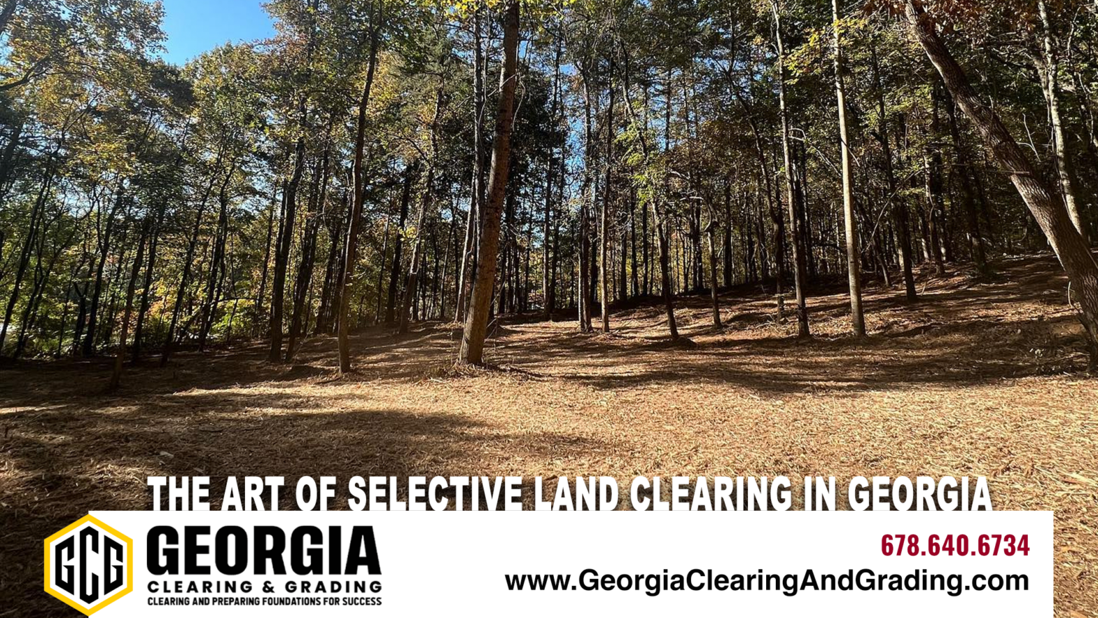 Selective Land Clearing and Site Development in Georgia